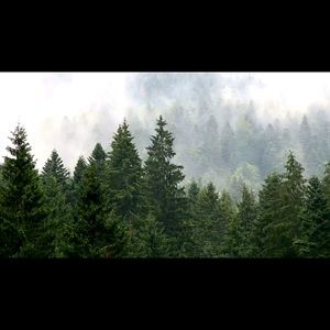 Meet your Posher, Jo